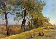 Albert Bierstadt Landscape, Rockland County, California painting